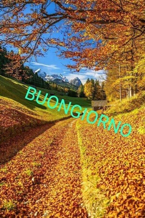 immagini buona giornata autunno|buon giorno immagini nuove.